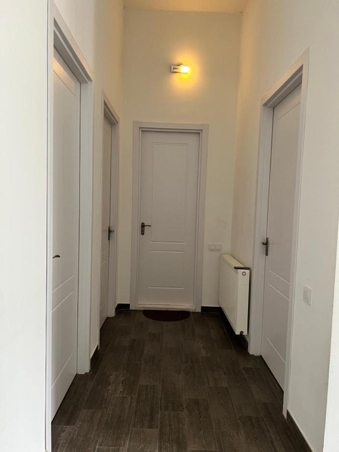 Apartment Pirosmani *