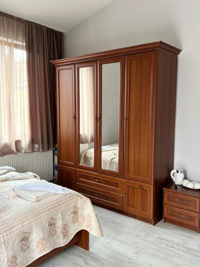 Pirosmani Tsqnet'i